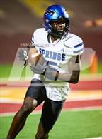Photo from the gallery "Clear Springs @ Deer Park"