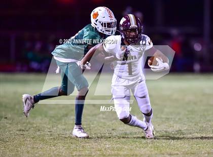 Thumbnail 3 in Wekiva @ Jones photogallery.