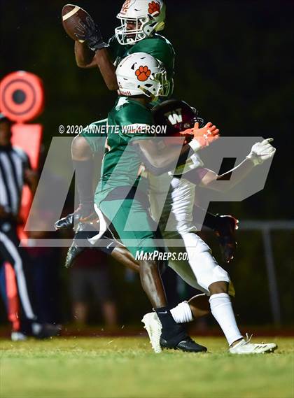 Thumbnail 1 in Wekiva @ Jones photogallery.