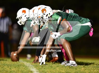Thumbnail 2 in Wekiva @ Jones photogallery.