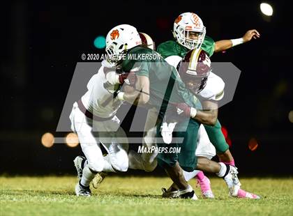 Thumbnail 1 in Wekiva @ Jones photogallery.