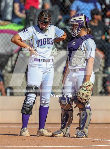 Thumbnail 1 in Mountain View vs. Holy Family (CHSAA 4A Final) photogallery.
