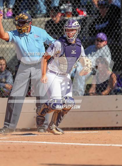 Thumbnail 1 in Mountain View vs. Holy Family (CHSAA 4A Final) photogallery.