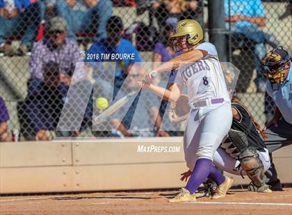 Thumbnail 1 in Mountain View vs. Holy Family (CHSAA 4A Final) photogallery.