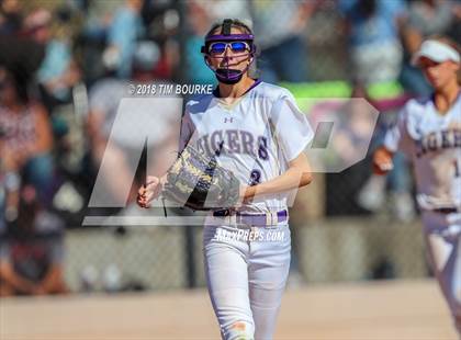 Thumbnail 1 in Mountain View vs. Holy Family (CHSAA 4A Final) photogallery.