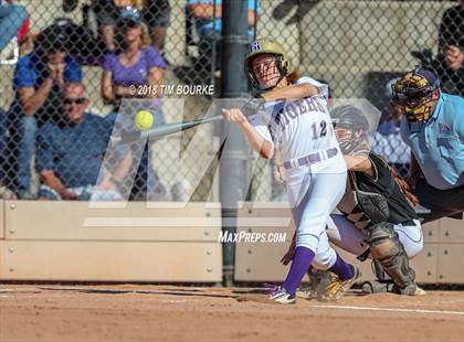 Thumbnail 1 in Mountain View vs. Holy Family (CHSAA 4A Final) photogallery.