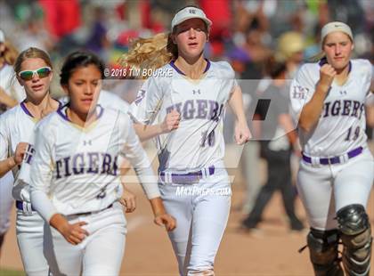 Thumbnail 1 in Mountain View vs. Holy Family (CHSAA 4A Final) photogallery.