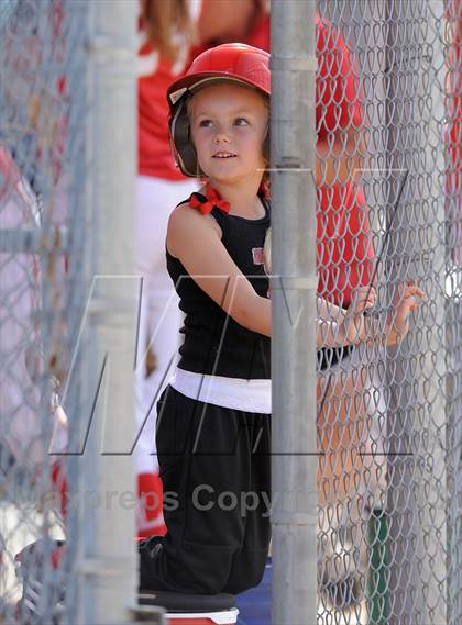 Thumbnail 1 in Saugus @ Orange Lutheran (CIF-SS D1 Playoff) photogallery.