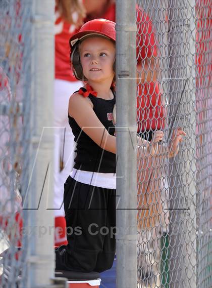 Thumbnail 2 in Saugus @ Orange Lutheran (CIF-SS D1 Playoff) photogallery.