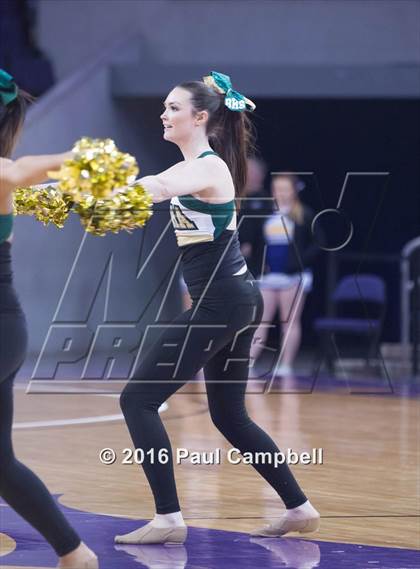 Thumbnail 3 in Basha vs Mesa (AIA D1 Semifinal) photogallery.
