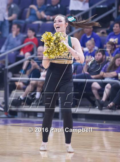 Thumbnail 1 in Basha vs Mesa (AIA D1 Semifinal) photogallery.