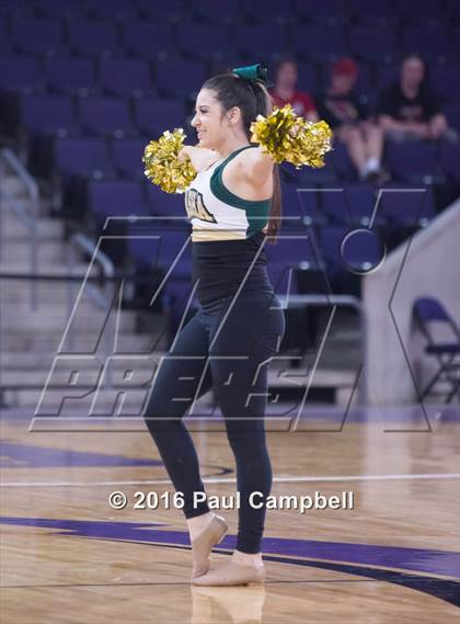 Thumbnail 1 in Basha vs Mesa (AIA D1 Semifinal) photogallery.