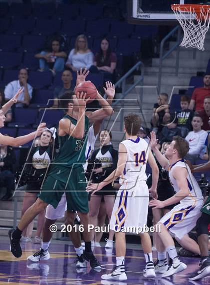 Thumbnail 1 in Basha vs Mesa (AIA D1 Semifinal) photogallery.