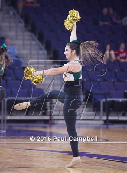 Thumbnail 1 in Basha vs Mesa (AIA D1 Semifinal) photogallery.