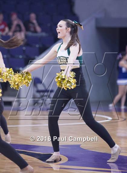 Thumbnail 1 in Basha vs Mesa (AIA D1 Semifinal) photogallery.