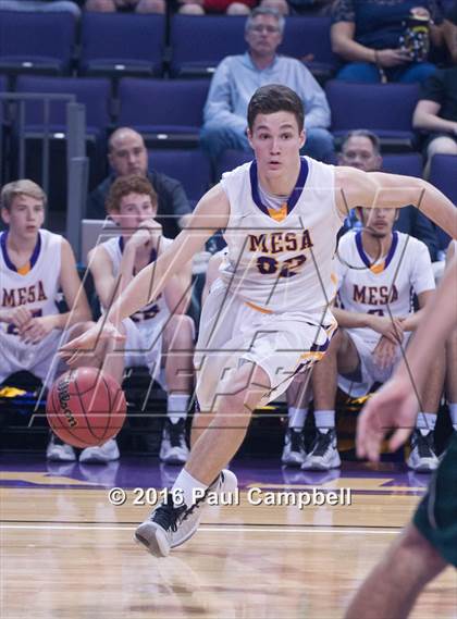 Thumbnail 1 in Basha vs Mesa (AIA D1 Semifinal) photogallery.