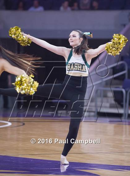 Thumbnail 1 in Basha vs Mesa (AIA D1 Semifinal) photogallery.