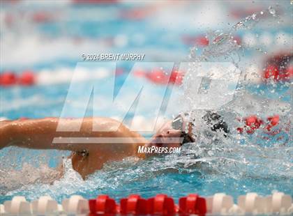 Thumbnail 1 in CHSAA 5A Boys Swimming - State Championship photogallery.