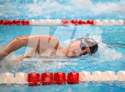 Thumbnail 1 in CHSAA 5A Boys Swimming - State Championship photogallery.