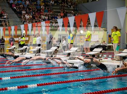 Thumbnail 1 in CHSAA 5A Boys Swimming - State Championship photogallery.