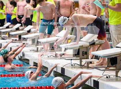 Thumbnail 2 in CHSAA 5A Boys Swimming - State Championship photogallery.