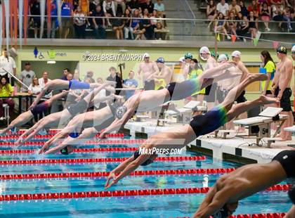 Thumbnail 3 in CHSAA 5A Boys Swimming - State Championship photogallery.