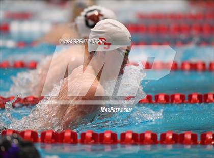 Thumbnail 2 in CHSAA 5A Boys Swimming - State Championship photogallery.