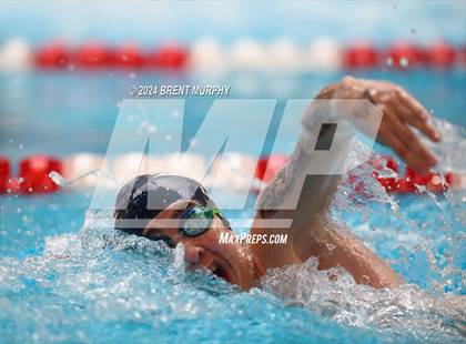 Thumbnail 1 in CHSAA 5A Boys Swimming - State Championship photogallery.
