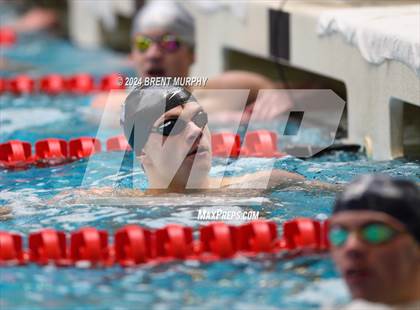 Thumbnail 3 in CHSAA 5A Boys Swimming - State Championship photogallery.