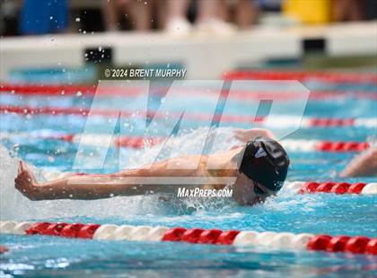 Thumbnail 1 in CHSAA 5A Boys Swimming - State Championship photogallery.