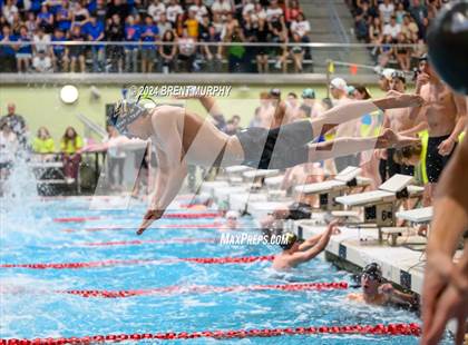 Thumbnail 2 in CHSAA 5A Boys Swimming - State Championship photogallery.
