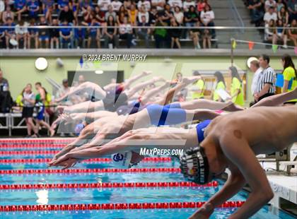 Thumbnail 3 in CHSAA 5A Boys Swimming - State Championship photogallery.