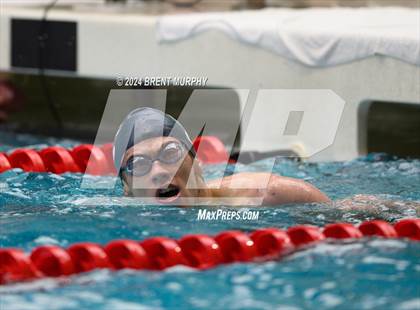 Thumbnail 3 in CHSAA 5A Boys Swimming - State Championship photogallery.