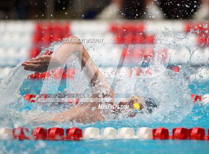 Thumbnail 3 in CHSAA 5A Boys Swimming - State Championship photogallery.