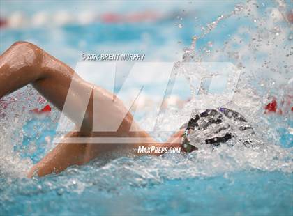 Thumbnail 3 in CHSAA 5A Boys Swimming - State Championship photogallery.