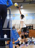 Photo from the gallery "Knight @ Quartz Hill"