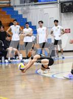 Photo from the gallery "Knight @ Quartz Hill"