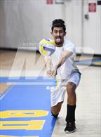 Photo from the gallery "Knight @ Quartz Hill"