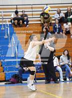 Photo from the gallery "Knight @ Quartz Hill"