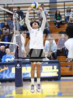 Photo from the gallery "Knight @ Quartz Hill"