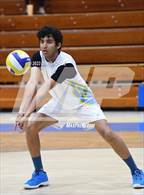 Photo from the gallery "Knight @ Quartz Hill"