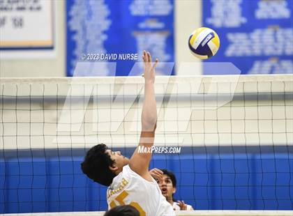 Thumbnail 3 in Knight @ Quartz Hill photogallery.