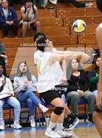 Photo from the gallery "Knight @ Quartz Hill"