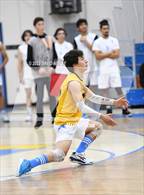 Photo from the gallery "Knight @ Quartz Hill"