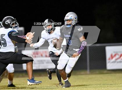 Thumbnail 1 in Matanzas @ Belleview photogallery.