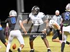 Photo from the gallery "Matanzas @ Belleview"