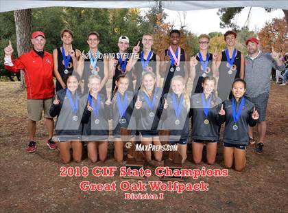 Thumbnail 1 in CIF State Cross Country Championships (Boys Awards) photogallery.