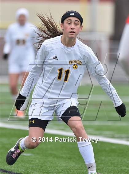 Thumbnail 1 in North Rockland vs. Massapequa (NYSPHSAA Class AA Final) photogallery.