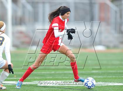 Thumbnail 2 in North Rockland vs. Massapequa (NYSPHSAA Class AA Final) photogallery.