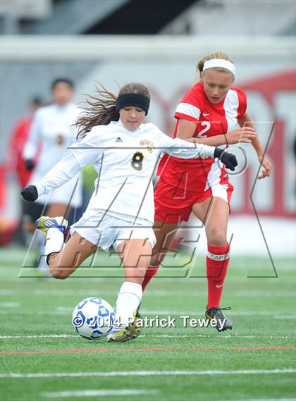 Thumbnail 3 in North Rockland vs. Massapequa (NYSPHSAA Class AA Final) photogallery.
